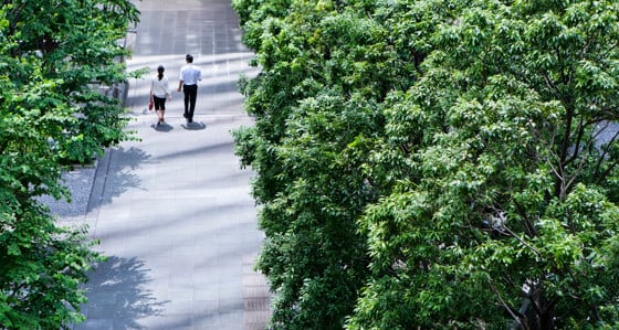 People walking among trees