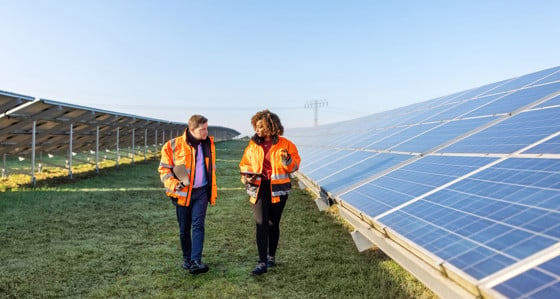 Two workers walking between rows of solar panels