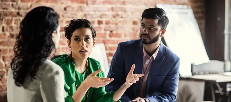 Professionals in a meeting