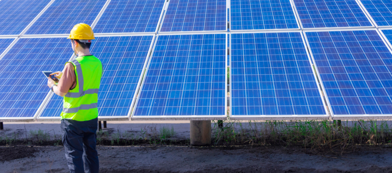 Worker inspecting a solar farm