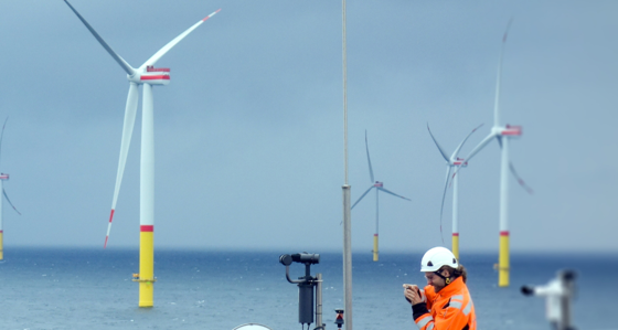 A engineer surveying wind turbines at sea