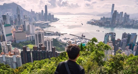 A figure looking out over Hong Kong harbour from above