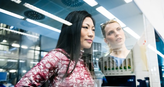 Two women looking at a board