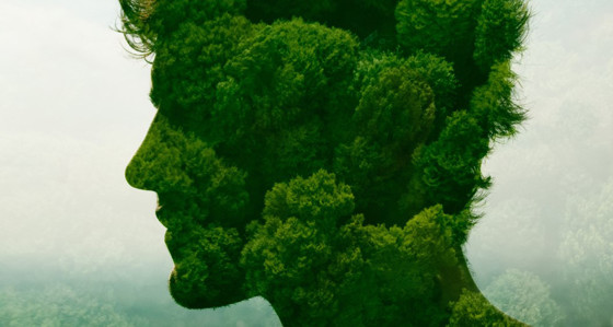 An outline of a human head superimposed over trees