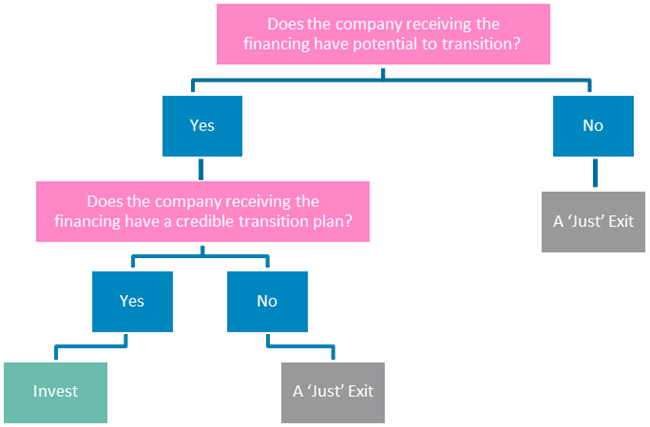 A tree diagram showing the path of decisions needed in Transition Finance