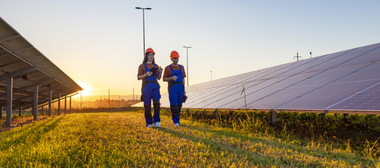 People at a solar farm