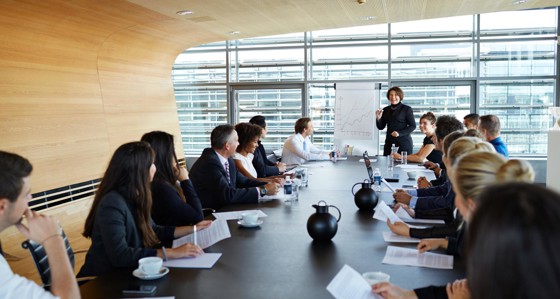 People in a business meeting