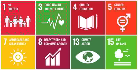 graphic of sustainability development goals