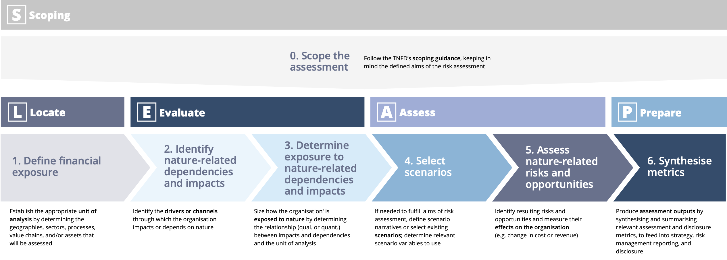 Infographic showing the steps of the LEAP process