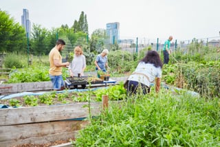 People helping out others on a community allotment