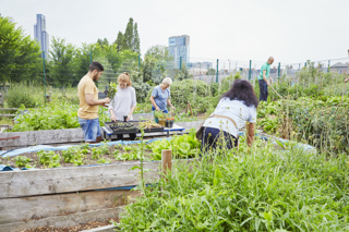 People helping out others on a community allotment