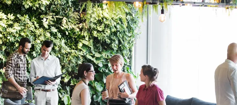Colleagues chatting in a room with a plant backdrop
