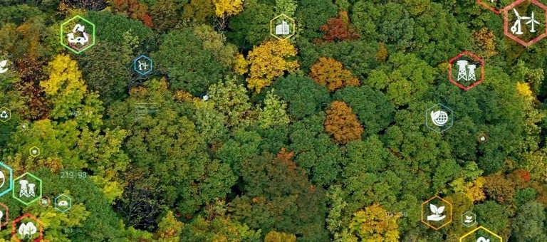 A range of symbols superimposed over an aerial view of an autumnal forest