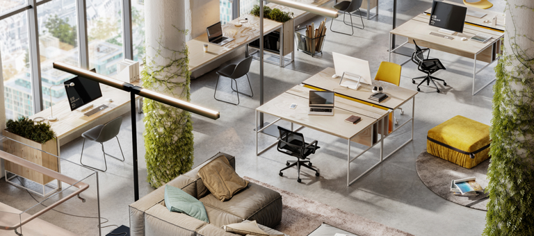 An light open plan office area with plants
