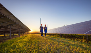Workers in a solar farm