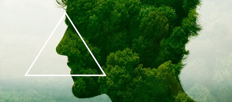 Trees in the shape of a man's head with a triangle overlay