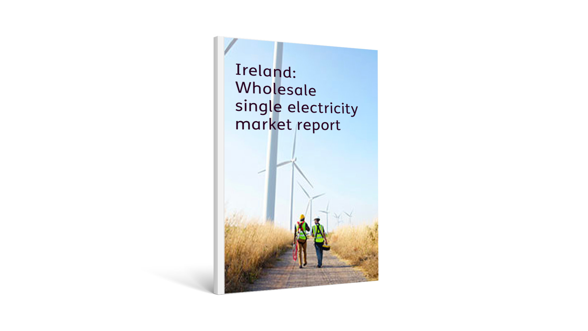 Ireland: Wholesale single electricity market report
