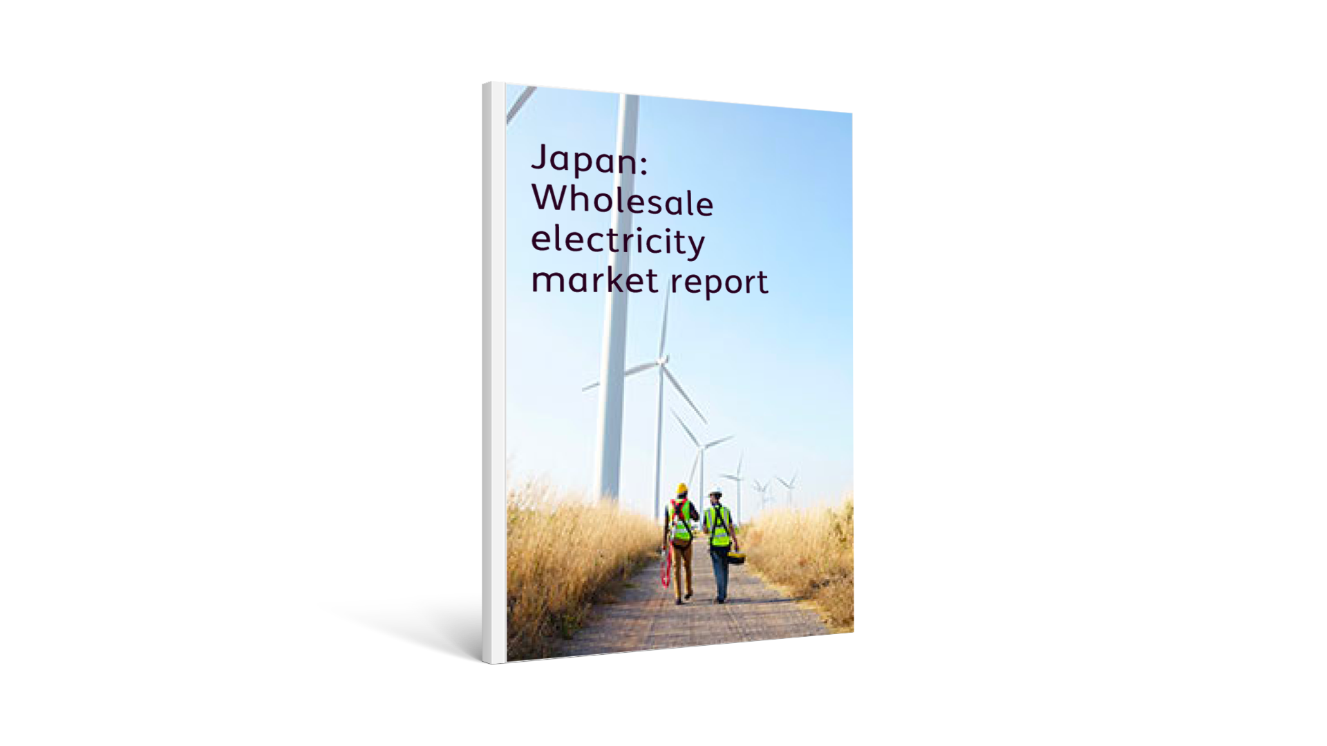 Japan: Wholesale electricity market report