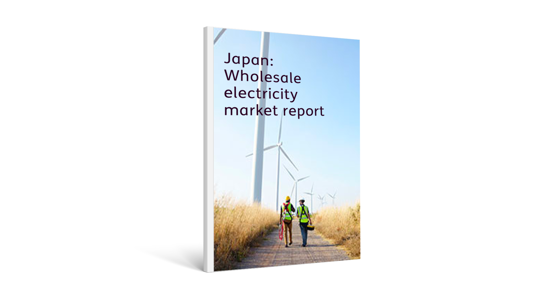 Japan: Wholesale electricity market report