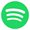 Spotify icon