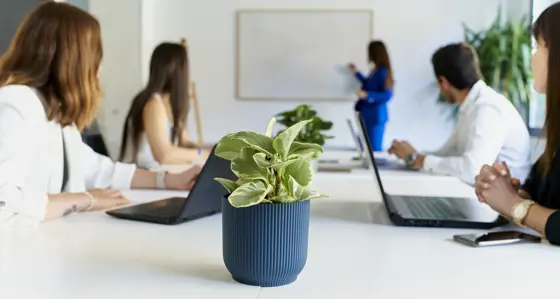 People in a meeting with a plant pot in the foreground