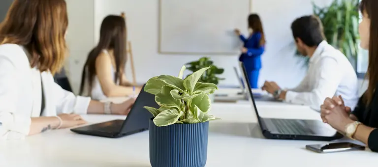 people in meeting