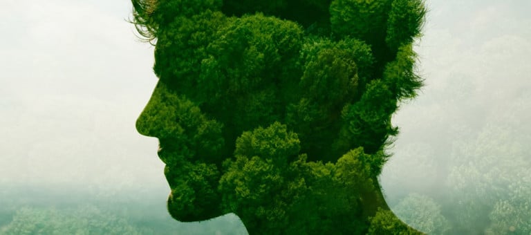 An outline of a human head superimposed over trees