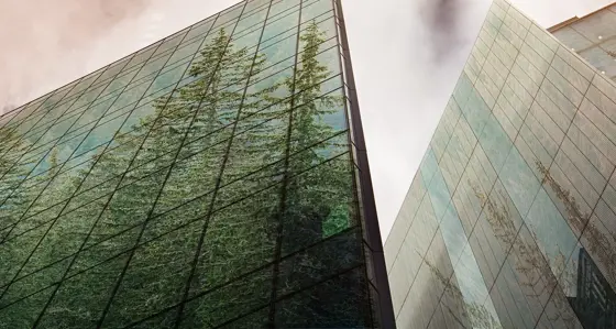 Trees reflected in modern glass-fronted buildings