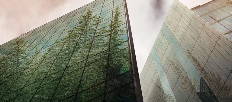 Trees reflected in modern glass-fronted buildings