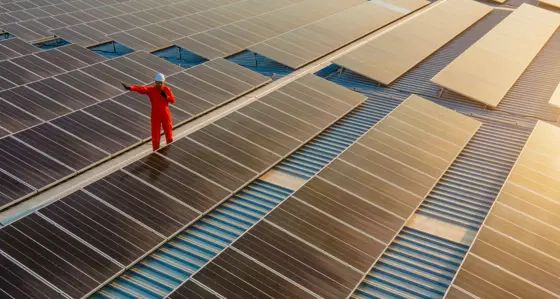 Engineer working in solar panel farm
