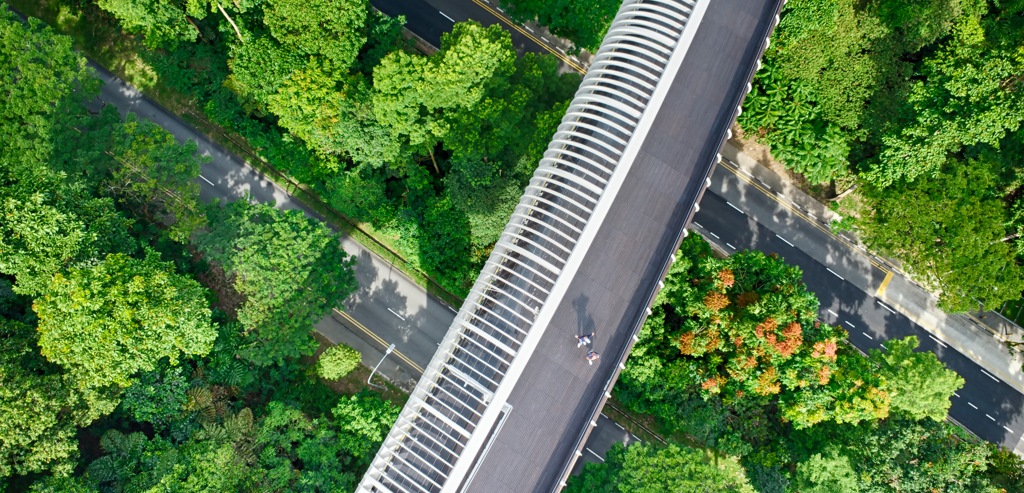people walking over bridge in Singapore