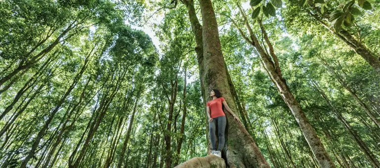 Woman on a tree