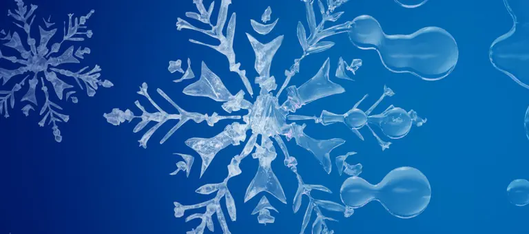 Snow flakes melting to become liquid