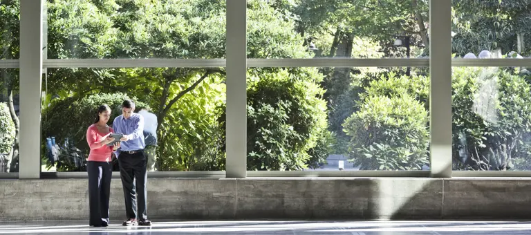 workers in office setting with plants outside
