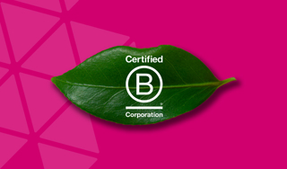 The Certified B Corporation Logo superimposed over a leaf on a pink background