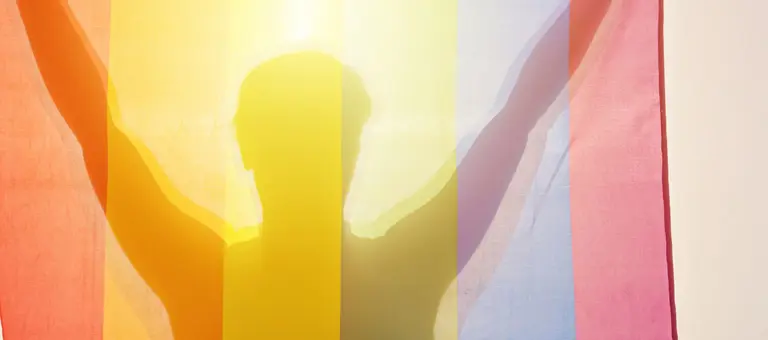 A silhouetted person holding up a rainbow flag in front of them