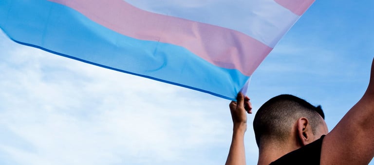 A person holding up the Transgender flag above their head