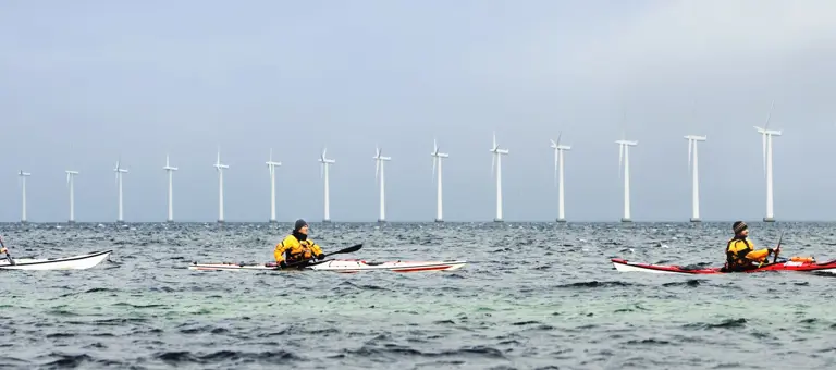 Three kayakers in front of an offshore wind farm