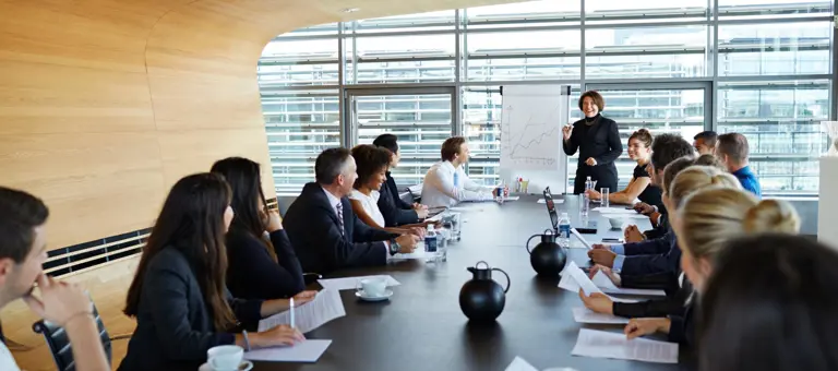 People in a business meeting