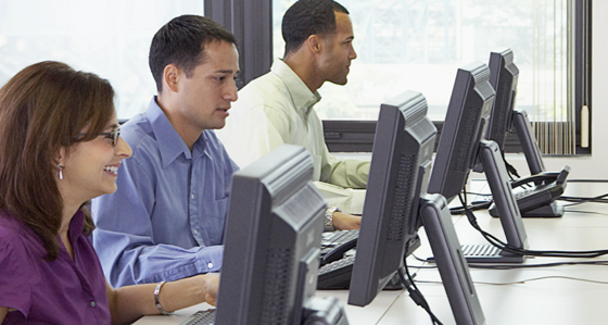 Six people working in front of computers