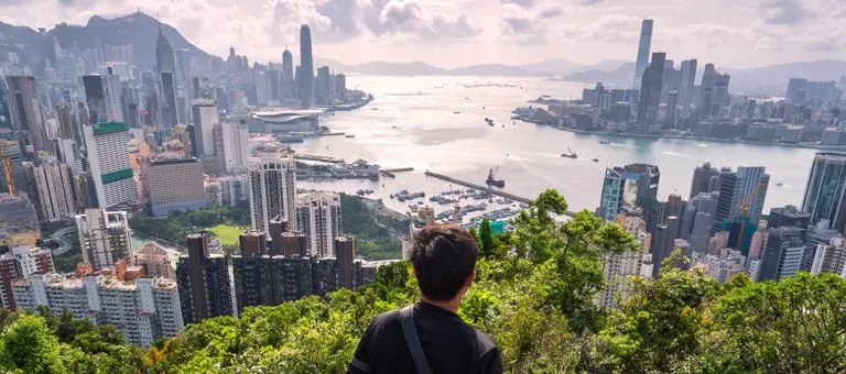 A figure looking out over Hong Kong harbour from above