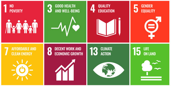 graphic of sustainability development goals