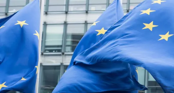 European Union flags flying in front of a building
