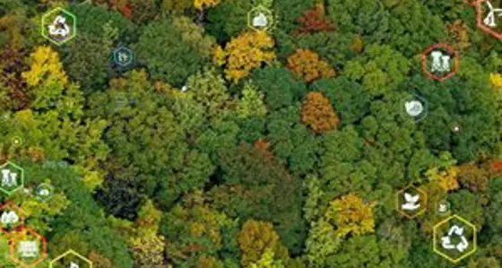 A range of symbols superimposed over an aerial view of an autumnal forest