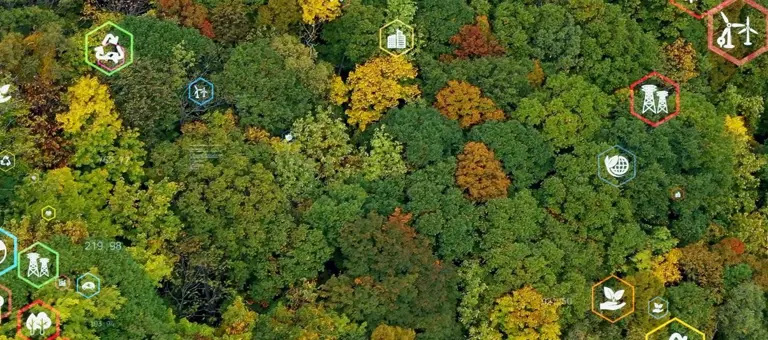 A range of symbols superimposed over an aerial view of an autumnal forest