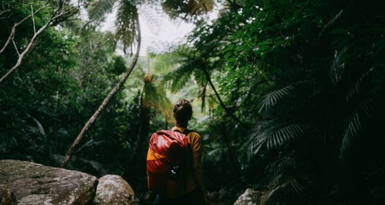 Woman with red backpack standing in forest