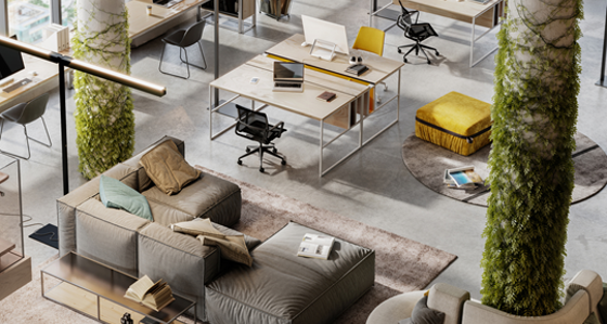An light open plan office area with plants