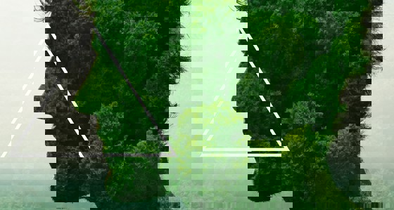 Trees in the shape of a man's head with a triangle overlay