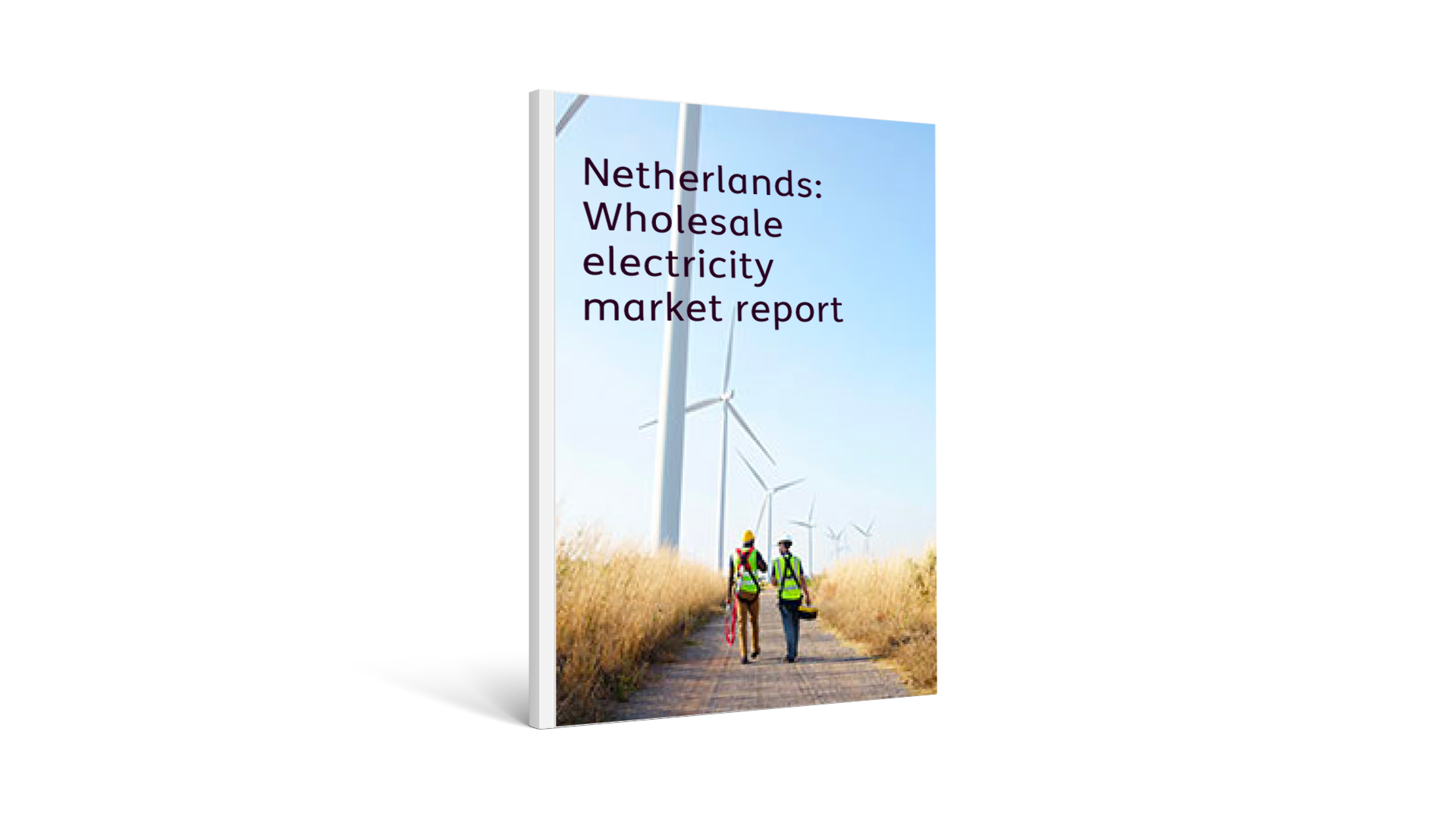 Netherlands: Wholesale electricity market report