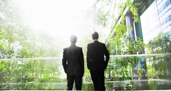 Two businessmen looking at a garden